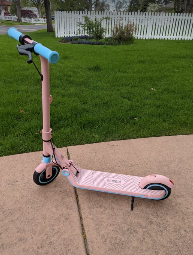 Pretty-Pink-Segway-Ninebot-Zing-E8
