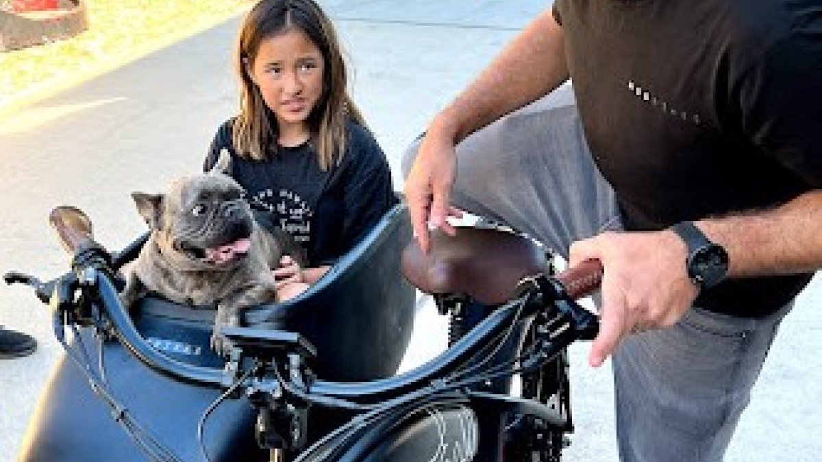 2021 Mod Bikes Mod Easy Mod-Easy-with-Side-Car-and-Kid-and-Dog-Excited-to-Ride-1