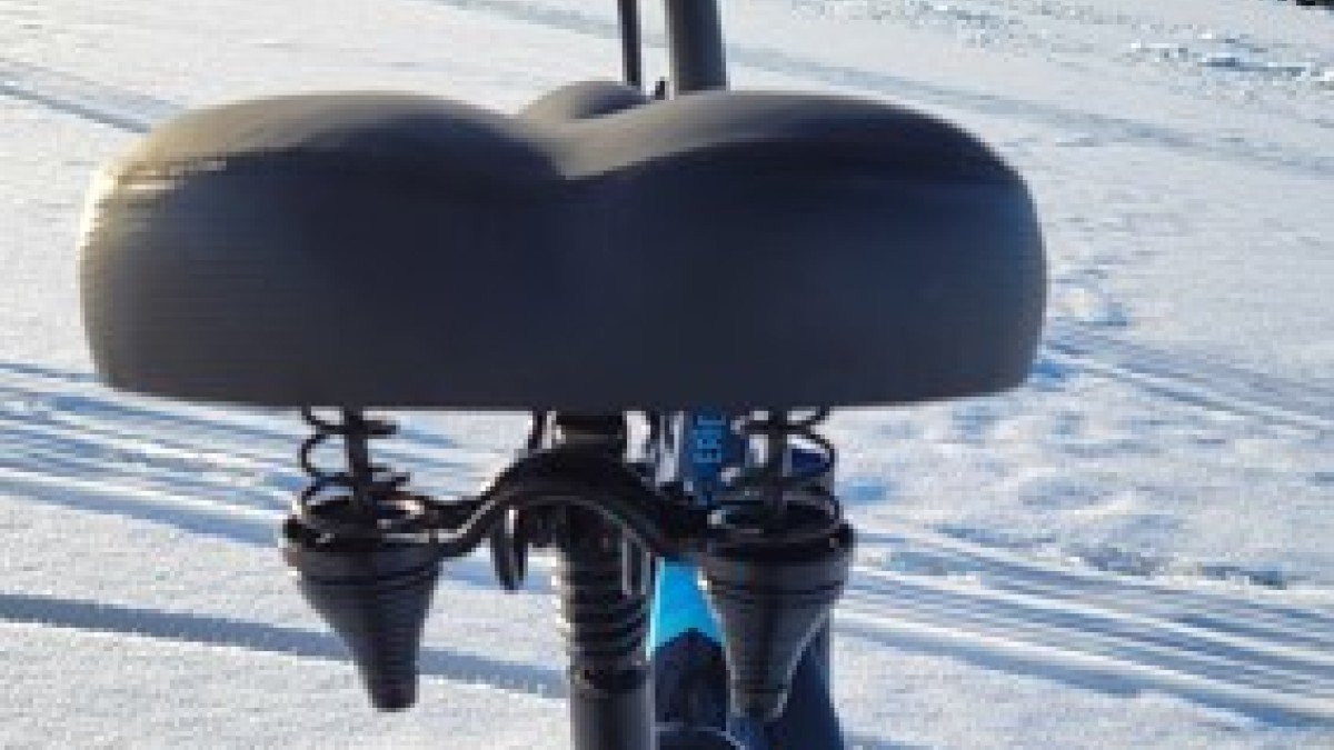 2021 Lectric XP 2.0 Lectric-XP-2.0-Comfort-Seat-Packaged