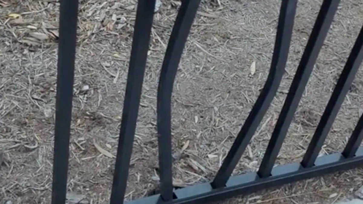 Is The Onewheel Ghosting Problem Real Or Overblown?