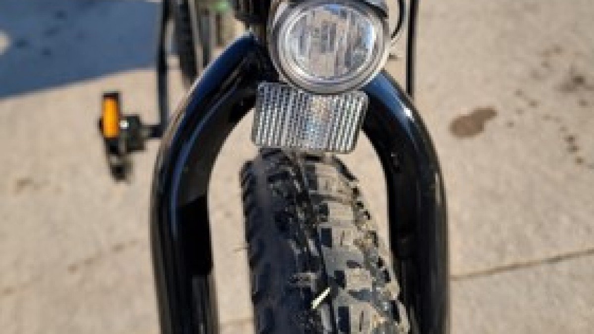 2023 Lectric XP LITE LECTRIC-XP-LITE-Forks