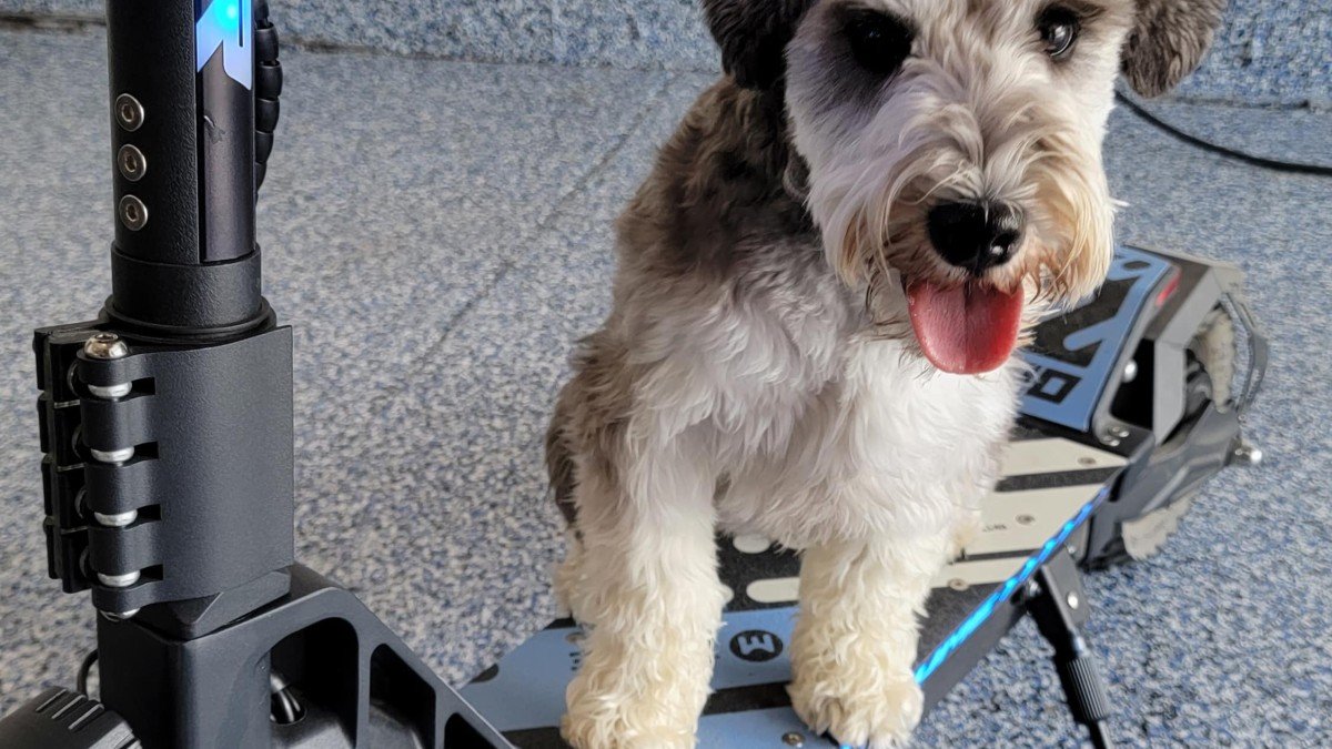 2022 YUME M10 Electric Scooter