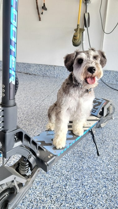 Milo-Number-1-fan-of-YUME-M10-Jimmy-Chang