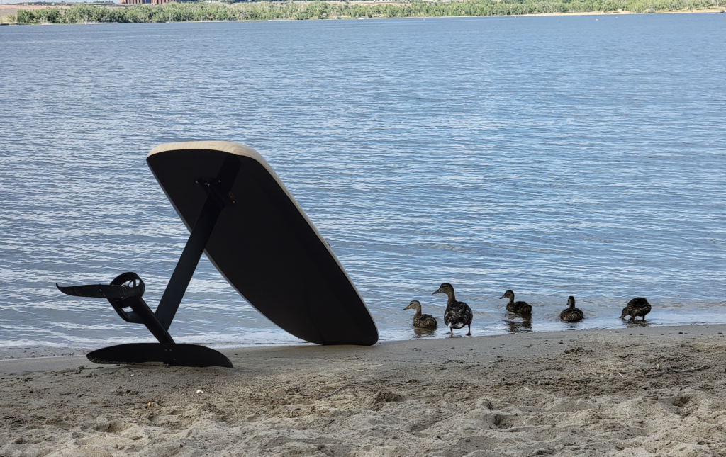 Screen-Shot-2022-11-13-at-3.56.49-PM-1024x645