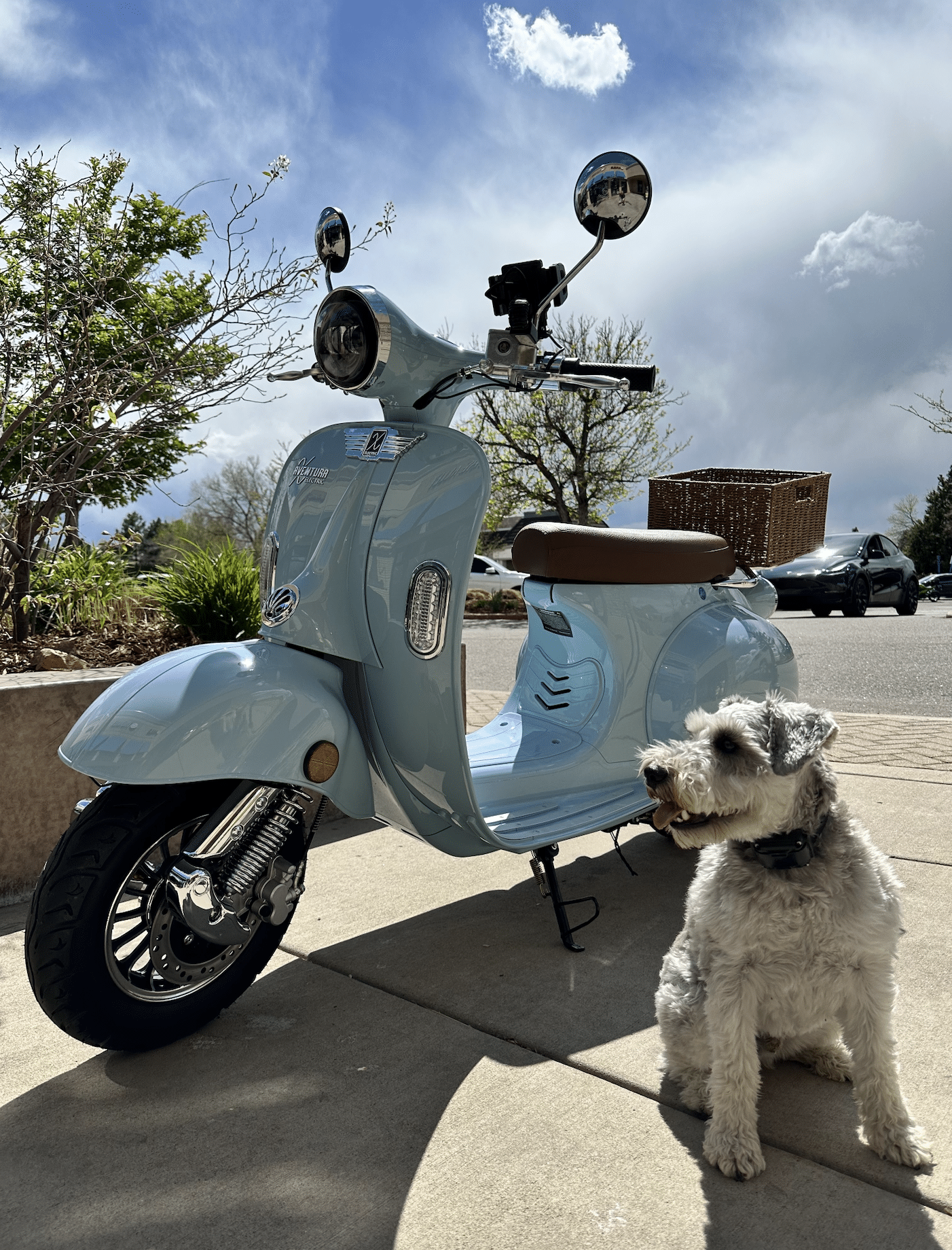 Screen-Shot-2023-05-23-at-10.20.17-AM