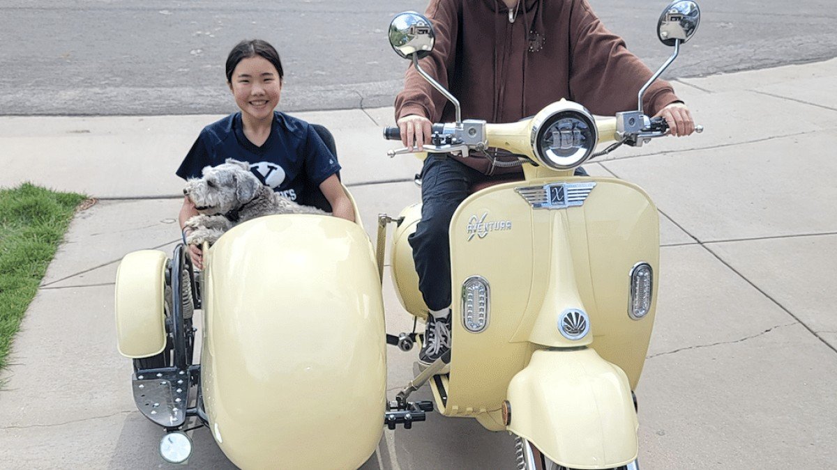 2024 Aventura-X EV29 Aventura-X-EV29-with-sidecar-upgraded-suspension-chang-gang-dog-vespa