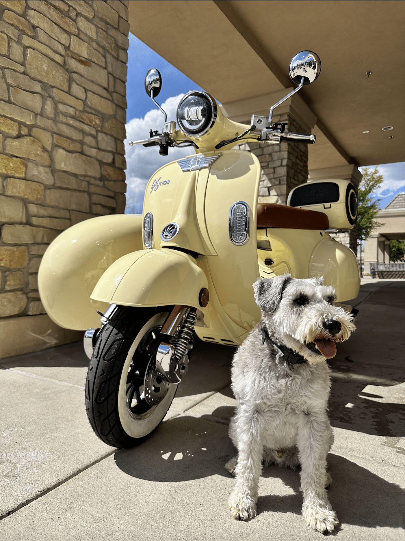 Screen-Shot-2023-05-23-at-10.20.32-AM