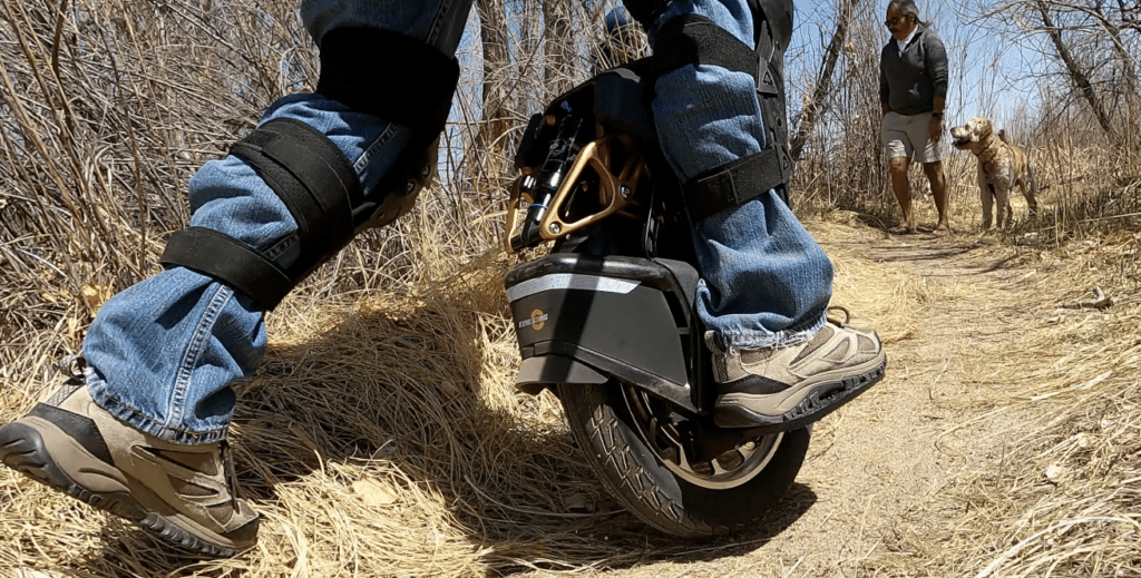 King-song-s18-2022-review-1024x519