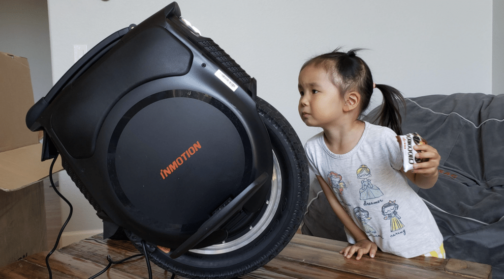 Inmotion-v12-inspection-1024x568