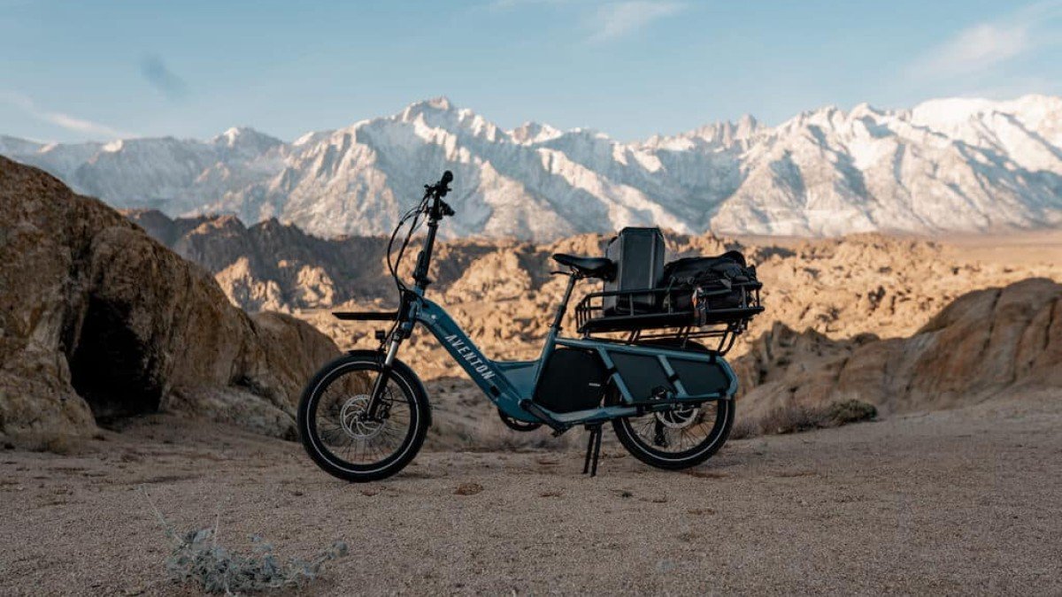 Cargo E-bike That Has It All: Aventon Abound