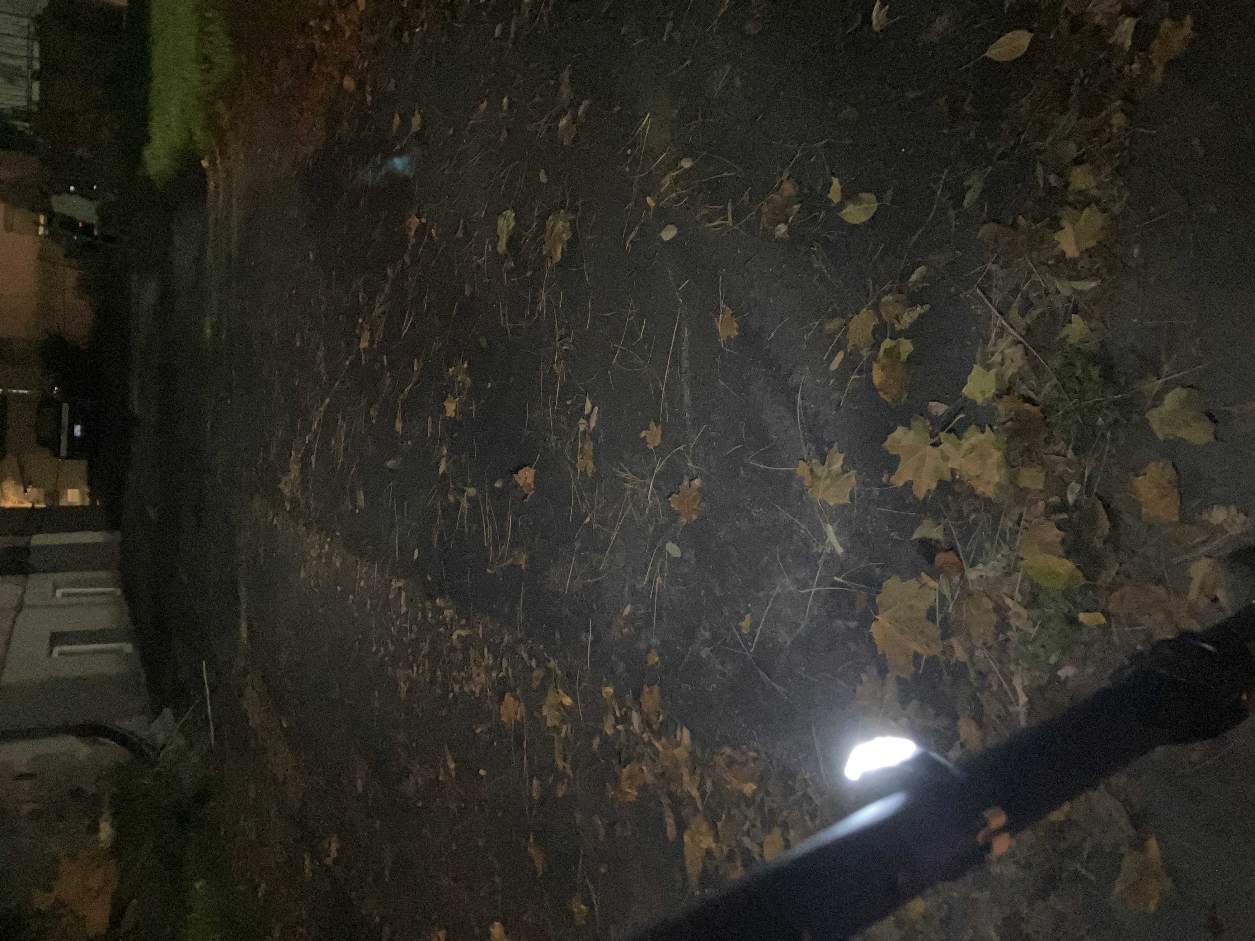 winter-gear-for-scooters-eucs-3