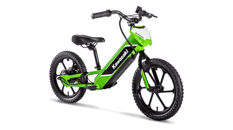 kawasaki-elektrode-4