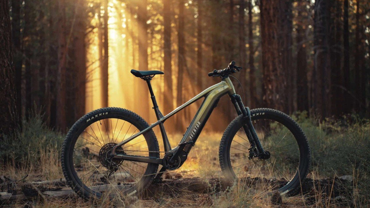 Aventon Ramblas – An Expensive Aventon, But A Cheap E-MTB?