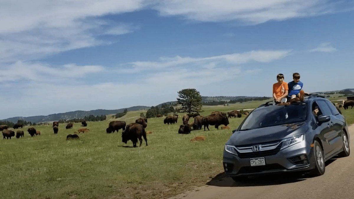 COVID Road Trip Tips To Stay Safe & Have Fun!