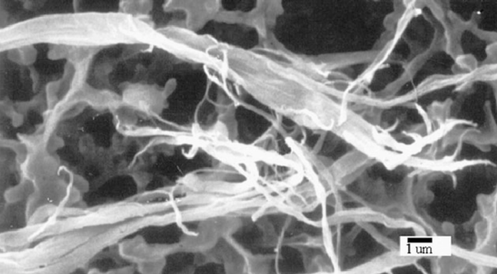 Screen-Shot-2020-04-12-at-6.41.51-AM-1024x565