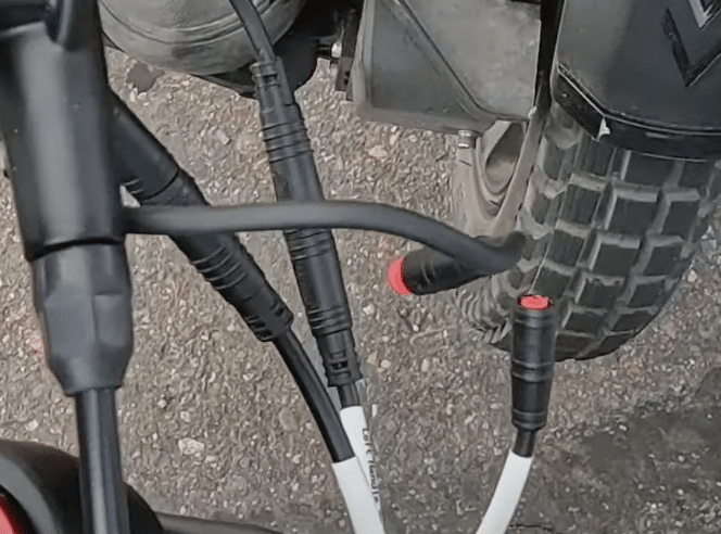 rawrr-mantis-mini-review-10