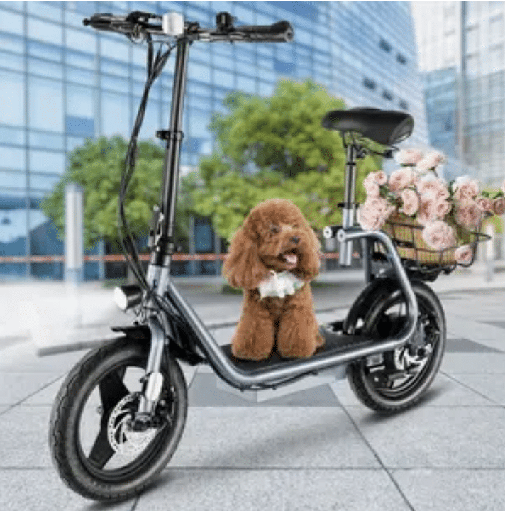 temu-electric-scooters-8