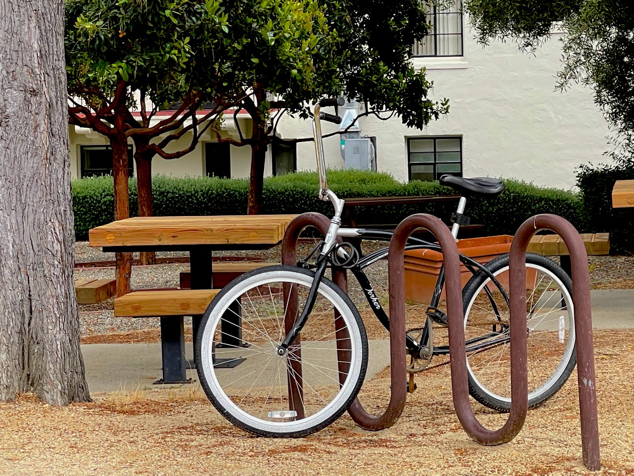 should-kids-ride-scooters-to-school-2