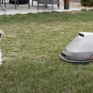 eufy-e18-robot-mower-review-0
