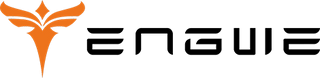 Engwe Logo