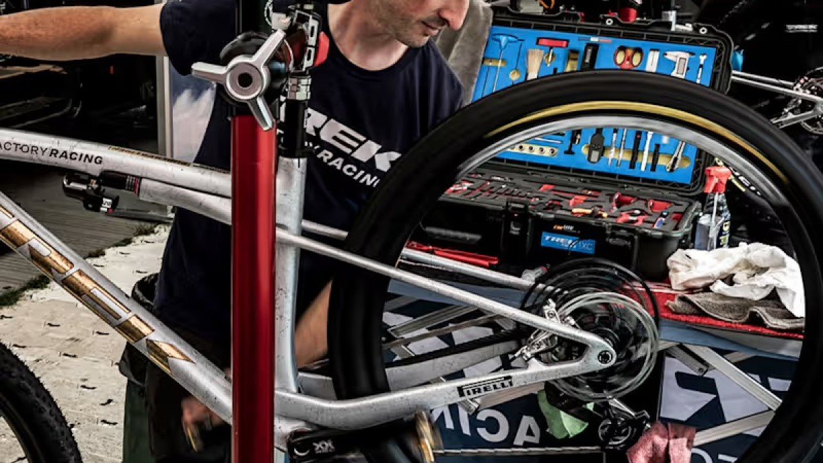 2025 Trek Verve+ drivetrain service detail