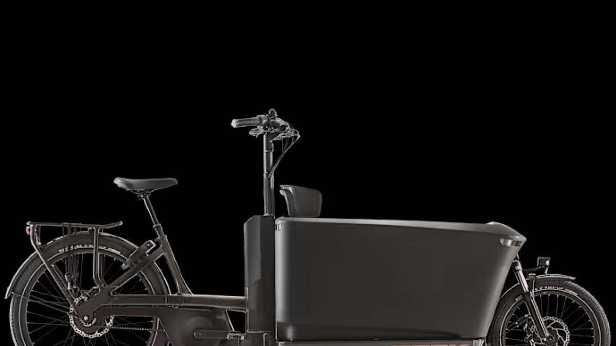 2024 Trek Fetch+ Electric Bike