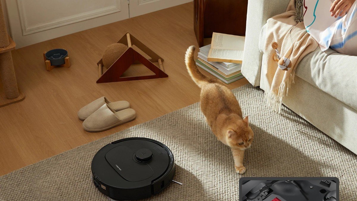 2025 Roborock QV 35A living room pet scene