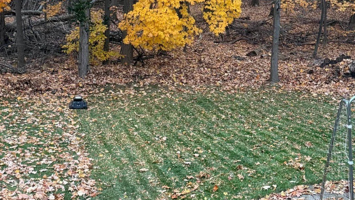 2024 Airseekers Tron yard example