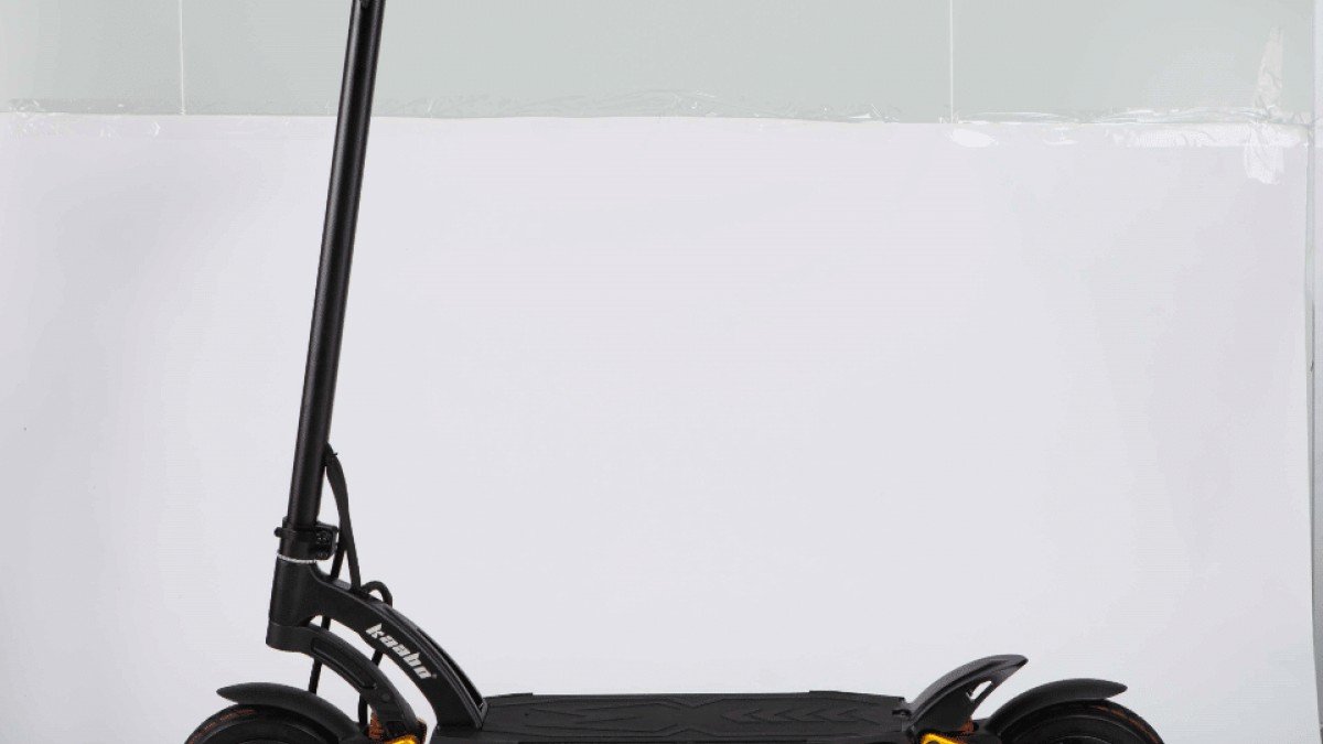 Should I Get The Kaabo Mantis Pro Or Wolf King+