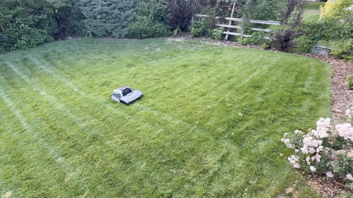 Lymow One full yard.png
