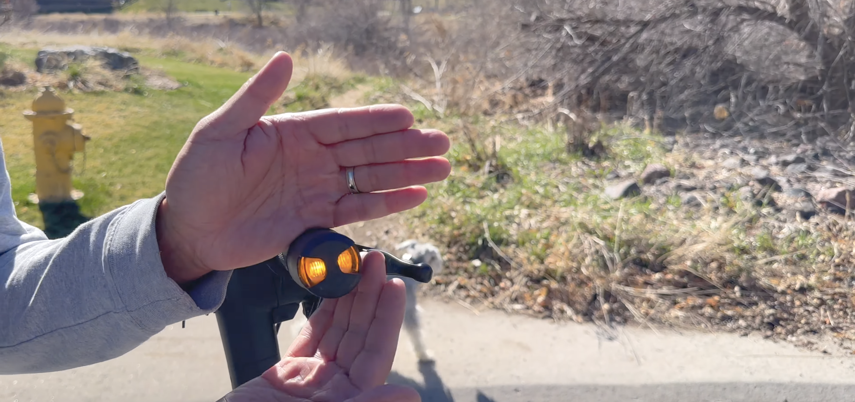 turn signals.png