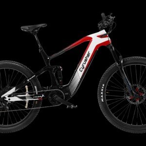 Cyclone X
