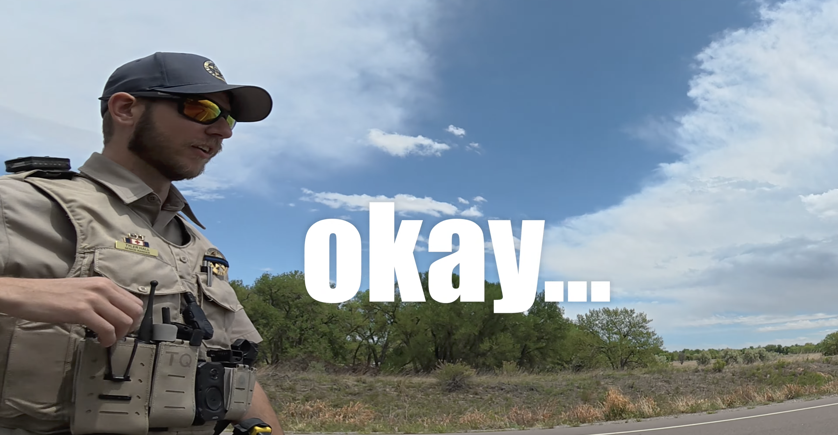 police stop.png