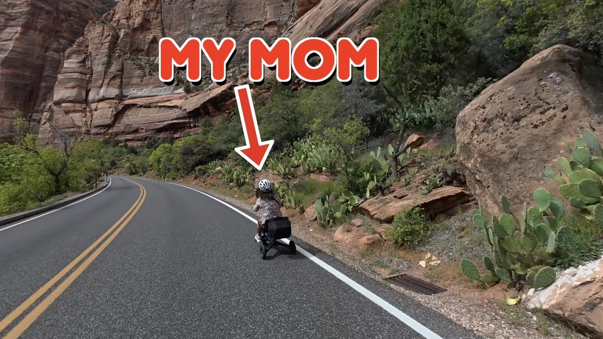 Dashmoto Dash 3 zion trip.png