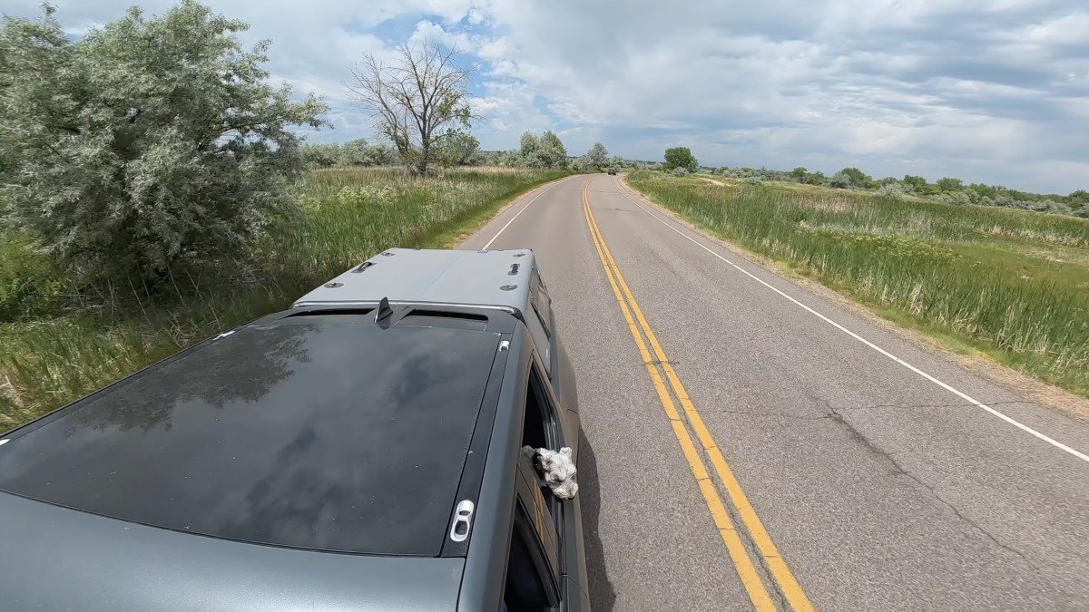 FLATED MID-LONG T24 MR60 driving.png