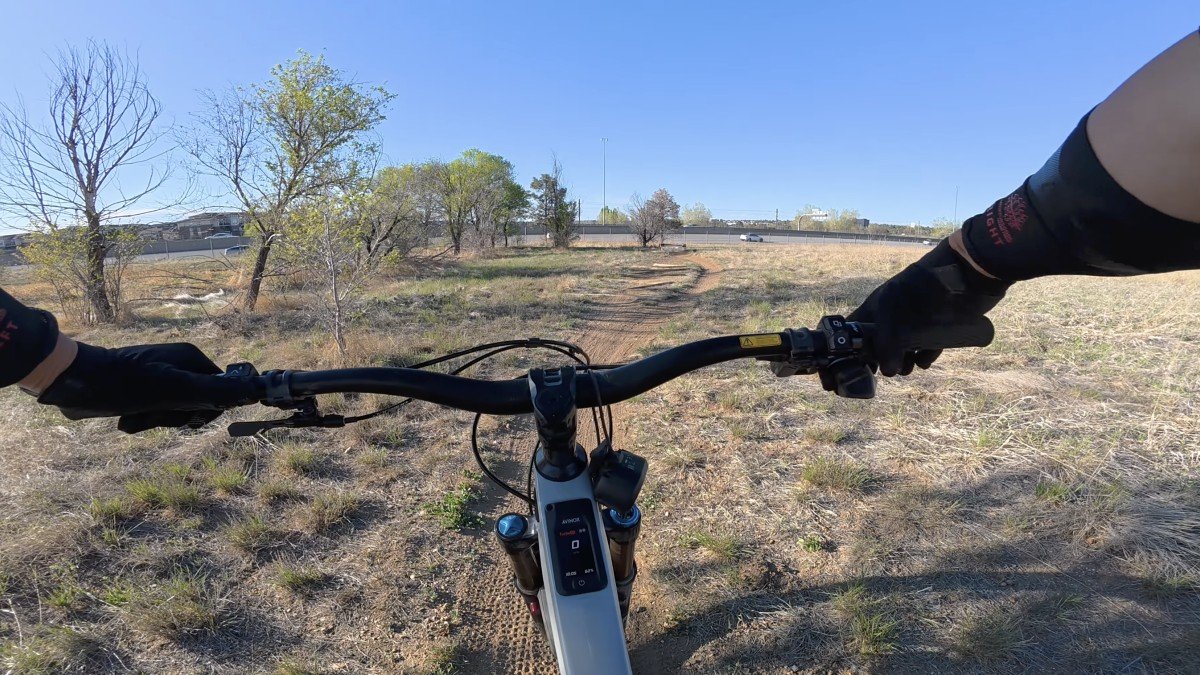 Amflow PX Carbon Pro cockpit.png