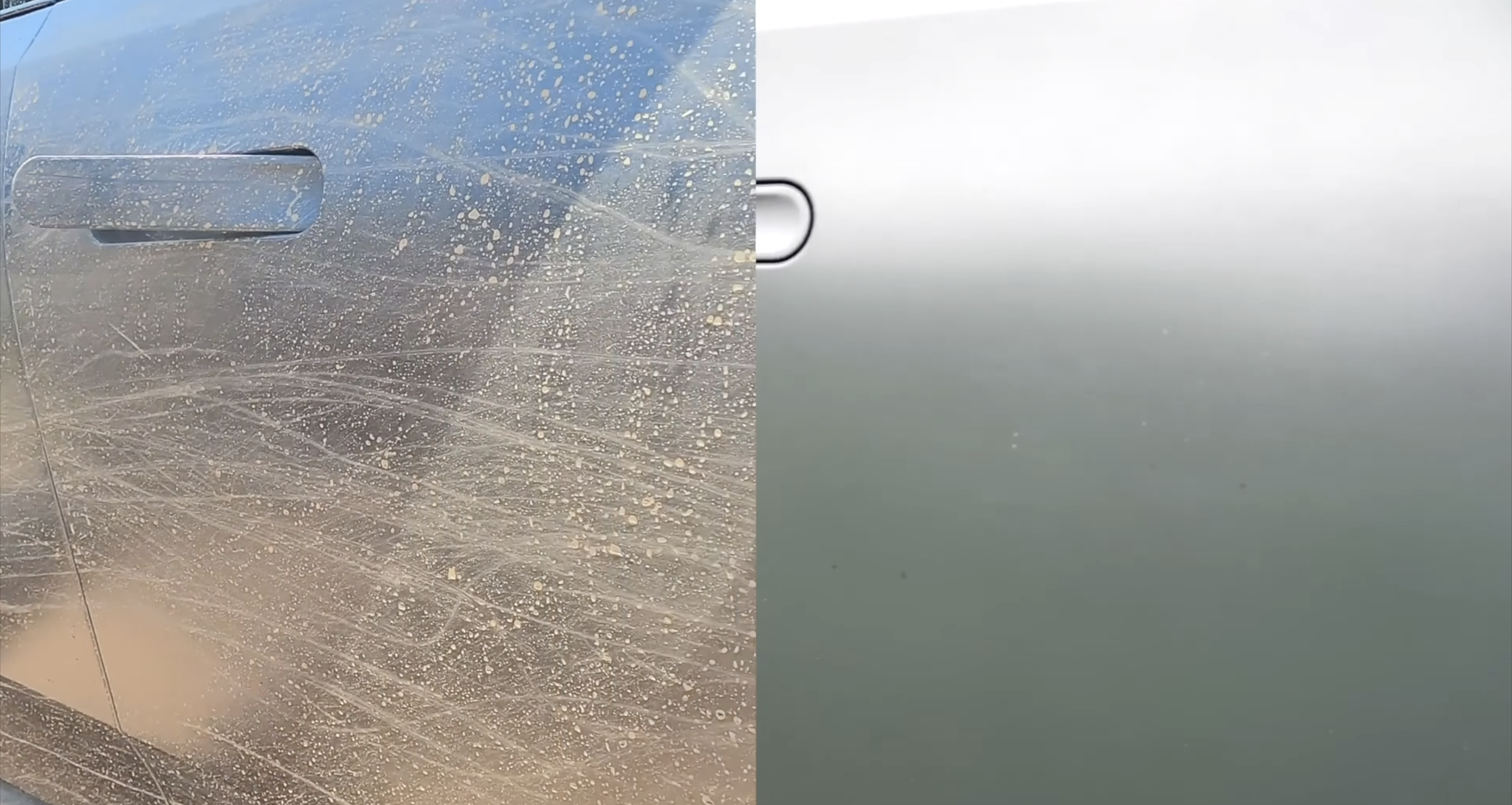 comparison.png