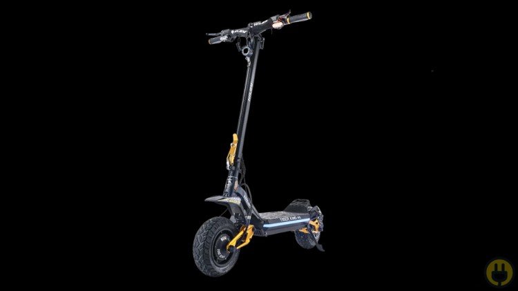Hiley Tiger King RS