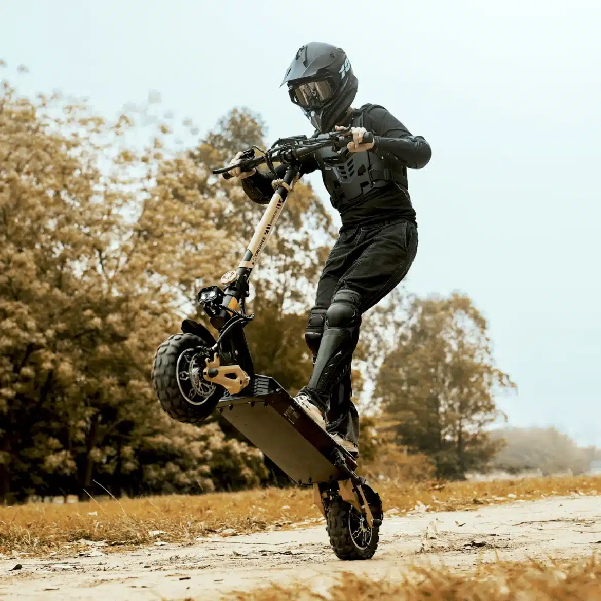 circooter cruiser pro